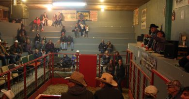 The annual Thanksgiving Horse Sale at Galetta Livestock was a popular spot for horse lovers on Oct. 7. Photo by Jake Davies