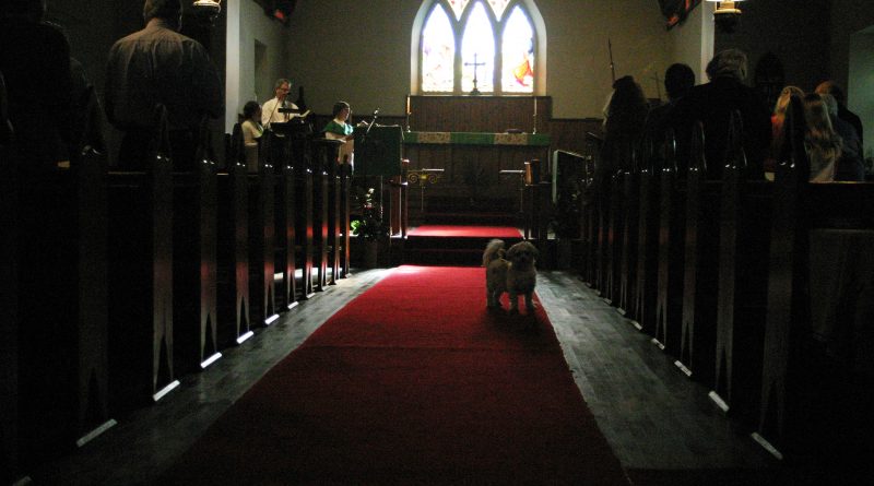 St. Mary's Anglican Church held its annual Blessing of Animals on Sunday, Nov. 4. Photo by Jake Davies