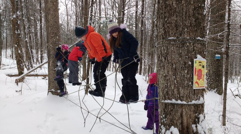 Kids shut off the wi fi and connected with the outdoors during a winter camp at the Carp Ridge EcoWellness Centre. Photo courtesy CREC