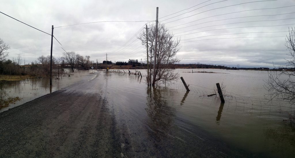 Mohrs Road near Galetta was closed today due to the Mississippi River bursting its bank and swamping the road. Photo by Jake Davies