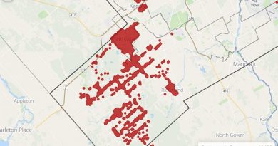 The power outage graph from this evening's story. Courtesy Hydro Ottawa