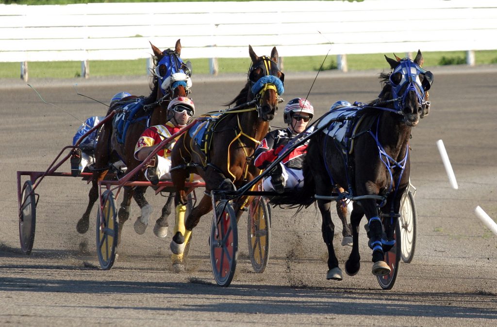 Silverado, at far left, started strong but couldn't get past this group of horses finishing fourth  in a Jne 23 race at Rideau-Carleton Raceway. Photo by Jake Davies