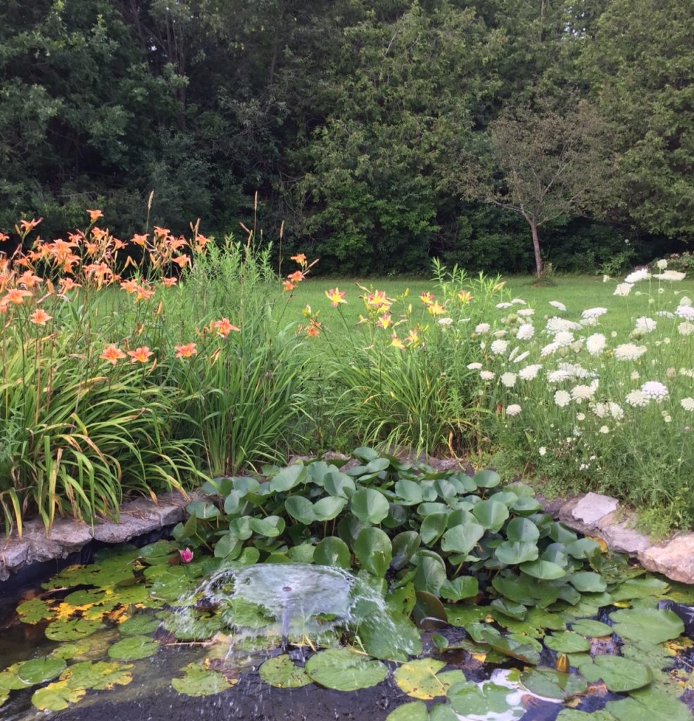 A water feature can provide beautiful sights and sounds, garden columnist Anne Gadbois says. Photo by Anne Gadbois