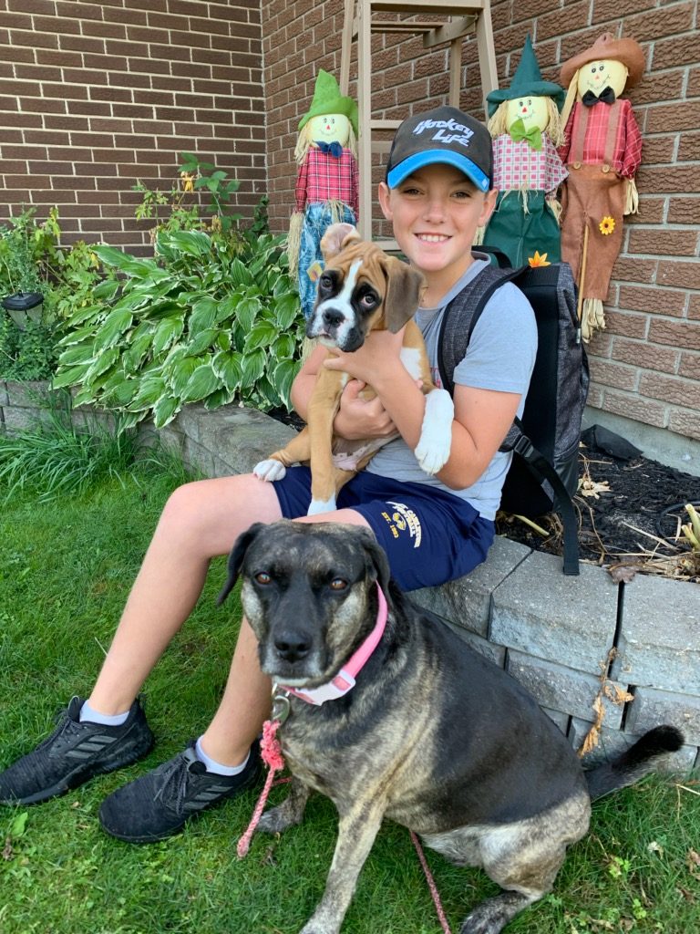 Kinburn's Blake says goodbye to his seemingly knowing puppies before heading to Stonecrest Elementary School this morning. Blake is going in to Grade 7. Rylie, up front, turned seven today and Simcoe is 10-weeks-old. Photo by Shelley Welsh