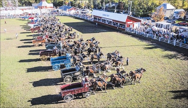 In 2013 a record breaking 25 six-horse hitches filled the Carp Fair's main ring on the fair's 150th anniversary. Courtesy Carp Fair