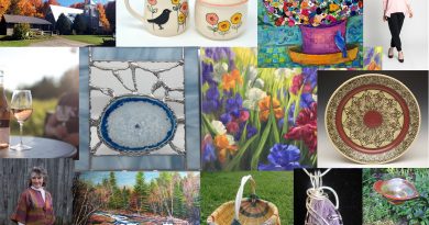 A collage of some of the great artists you will see on the Red Trillium Studio Tour this weekend. Courtesy the Red Trillium Studio Tour
