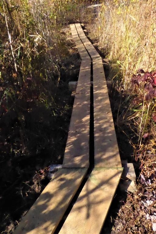 A section of the new boardwalk. Courtesy Friends of the Carp Hills