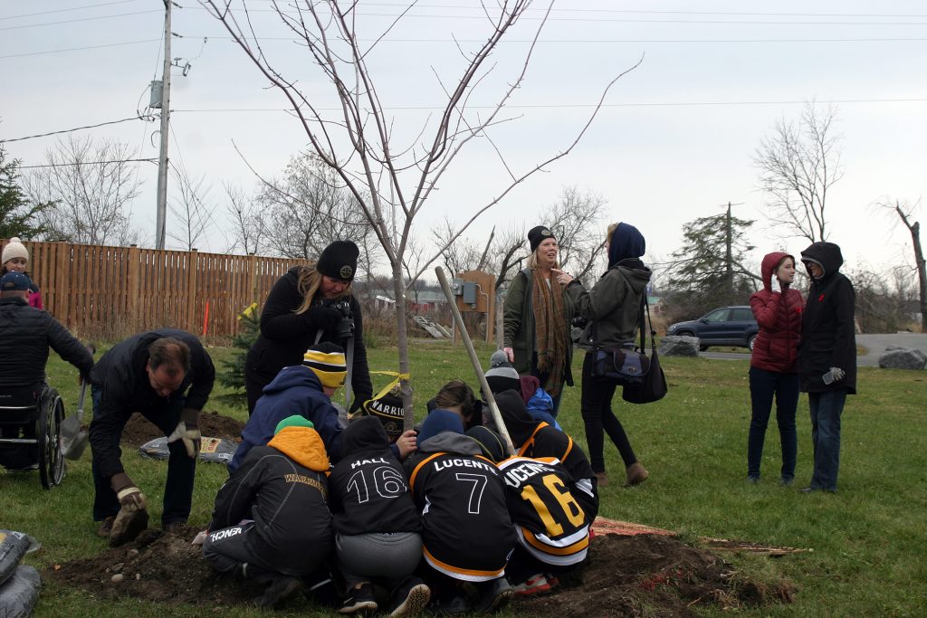 Warriors get to work on planting a Canadian Red Maple. Photo by Jake Davies
