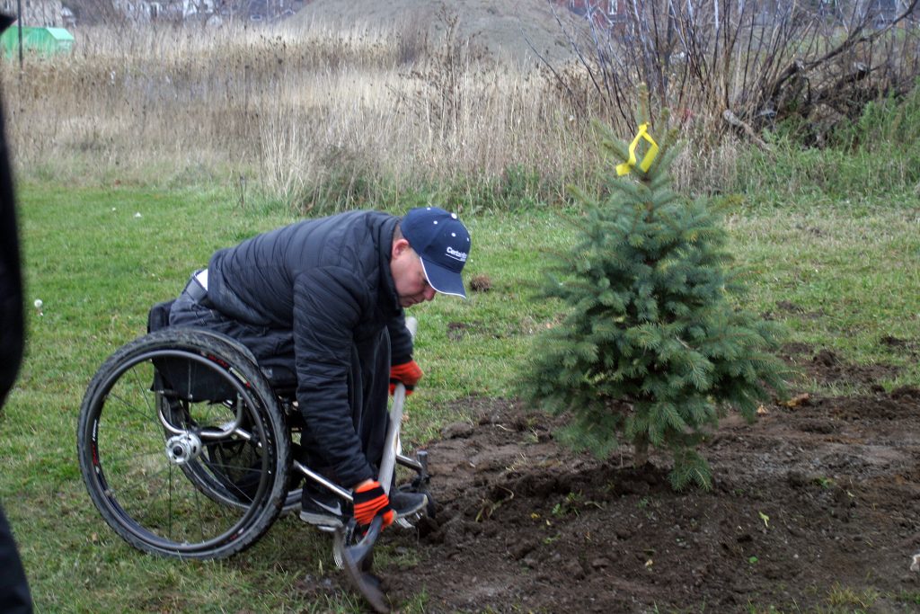 Dunrobin's Todd Nicholson finishes up work on one of the Colorado Blue Spruce. Photo by Jake Davies