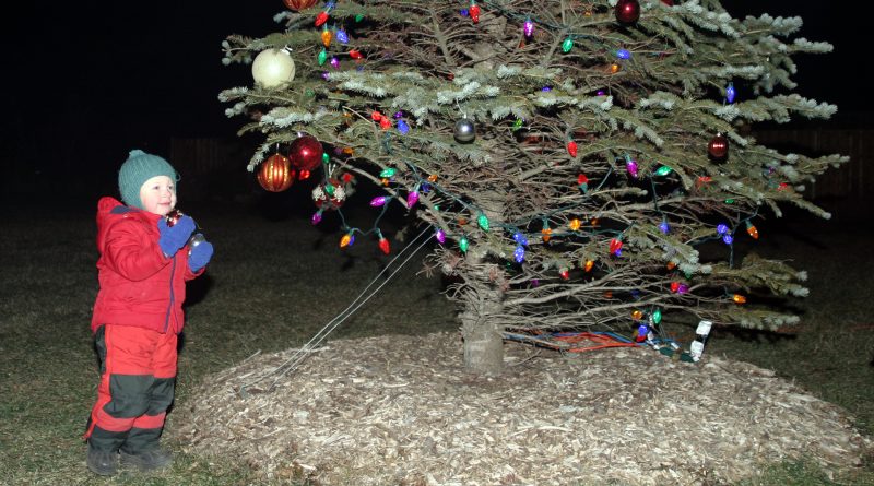 Dunrobin's Weston Braun, 3, helps decorate the Dunrobin Christmas Tree Sunday evening. Photo by Jake Davies