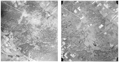 Above, the photo on the left was taken in 1955 before the fire, while the photo on the right was taken in 1959 four years after the fire. The stub of what would become Thomas Dolan Parkway is in the lower left corner. Courtesy the National Air Photo Library