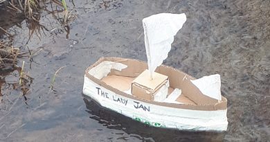 Enter the Carp Village Great Paper Boat Race Time Trials and keep your kids (and kids at heart) entertained during these unprecedented times. Courtesy Janet Howse