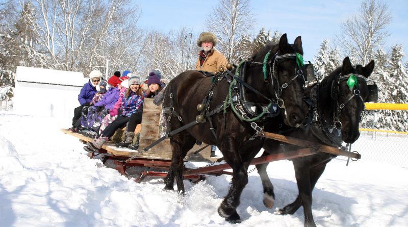 Sleigh rides on the Carp Fairgrounds were one of the many popular events at the newly revived HCA Carp Winter Carnival held last Saturday. Photo by Jake Davies
