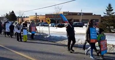 Around 40 educators and supporters took part in a picket this morning at Stonecrest Elementary School. Courtesy Twitter