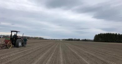 The Hudson's started planting their potatoes yesterday. One person sits on the potato planter and feeds the seeds into the planter so there are nice even rows, while another drives the tractor very slowly. Courtesy Hudson's Farm