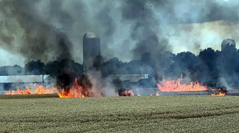 A lightening strike sparked a blaze that, in dry wind conditions, travelled fast and destroyed 25 acres of wheat. Photo by Chad Reitsma