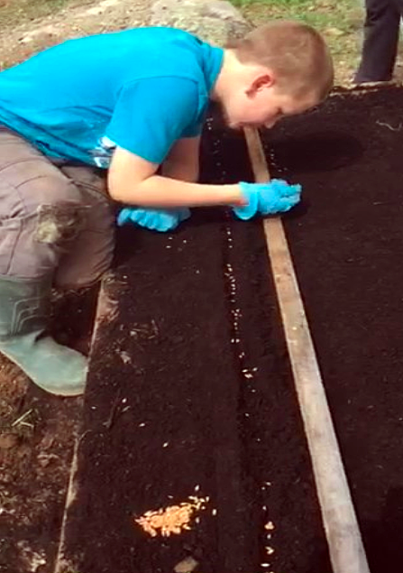 4H member Trevor Cavanagh plants his barley seeds at his home. Photo by Trevor Cavanagh