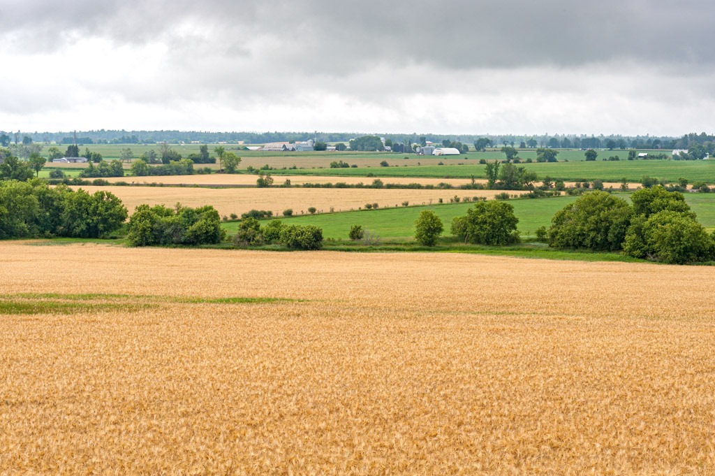 A landscap of the Carp area