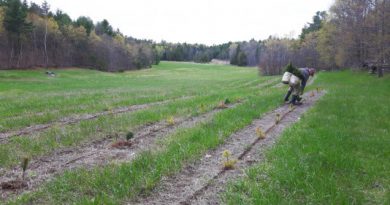 A tree planter works in a field.