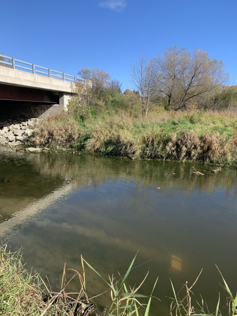 A photo of the Carp River