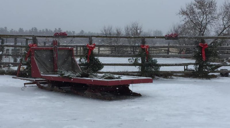 A photo of the Pinto Valley sleigh.