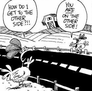 A cartoon featuring two chickens with one saying 'How do I get to the other side?' and the other replying 'you are already there.