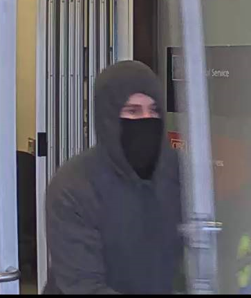 A photo of a suspected thief.