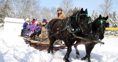 Carp Winter Carnival attendees go on a sleigh ride.