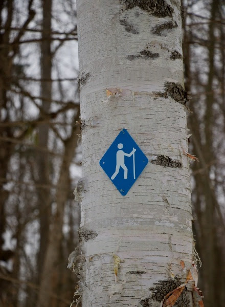 A blue trail marker.