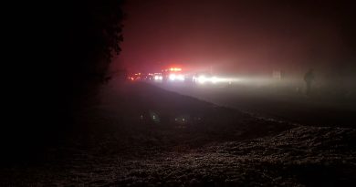 Firefighters attend a Deerwood Estates fire last night.