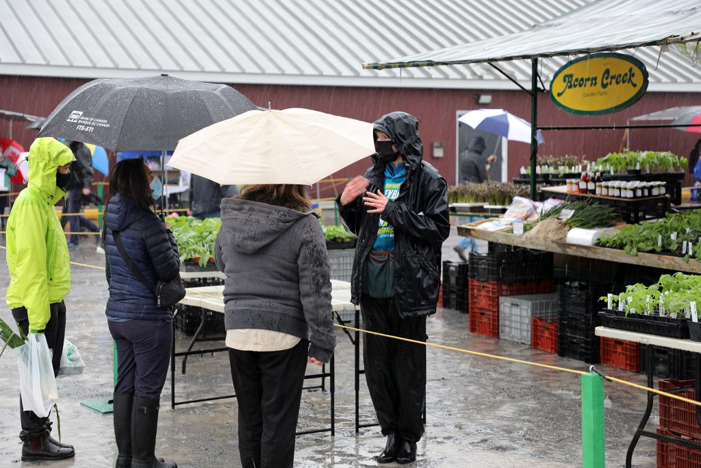 A photo of Acorn Creek Farm's stand.