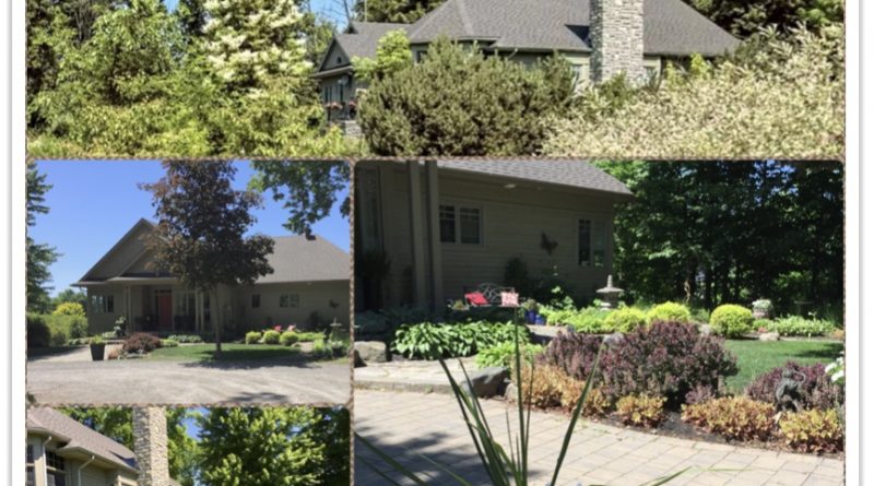Clockwise from bottom: side garden bed, front of house, view from the road and front entrance with planter.