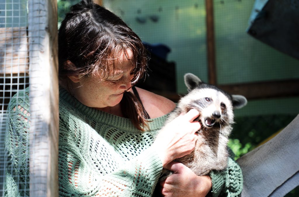 A photo of Lynne Rowe with a racoon.
