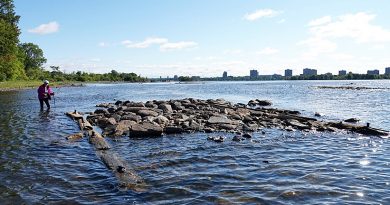 A photo of a log exposed in the Ottawa River.