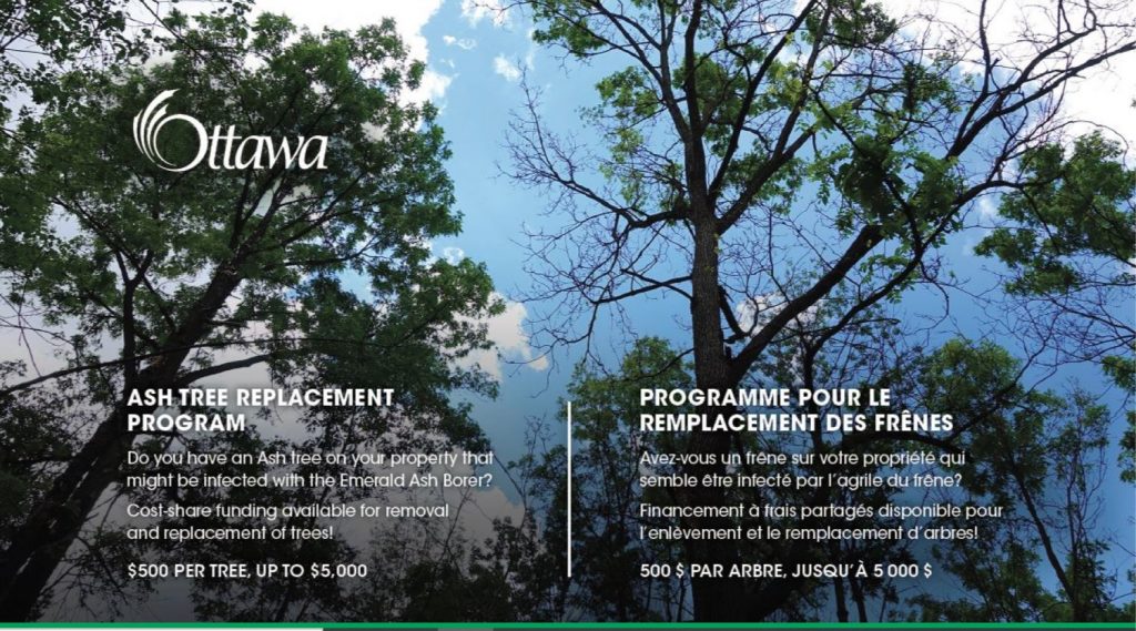 Ash Tree program poster.