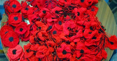 A photo of 156 knit and crocheted poppies.