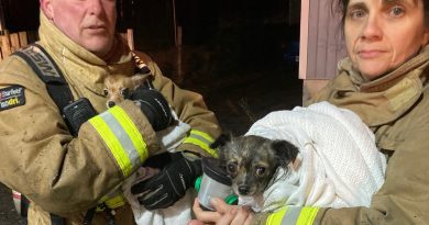 A photo of two firefighters holding dogs.