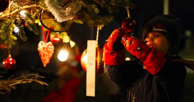 Dunrobin Tree Lighting celebrates 10 years Nov. 30 A young boy looks at one of the ornaments.