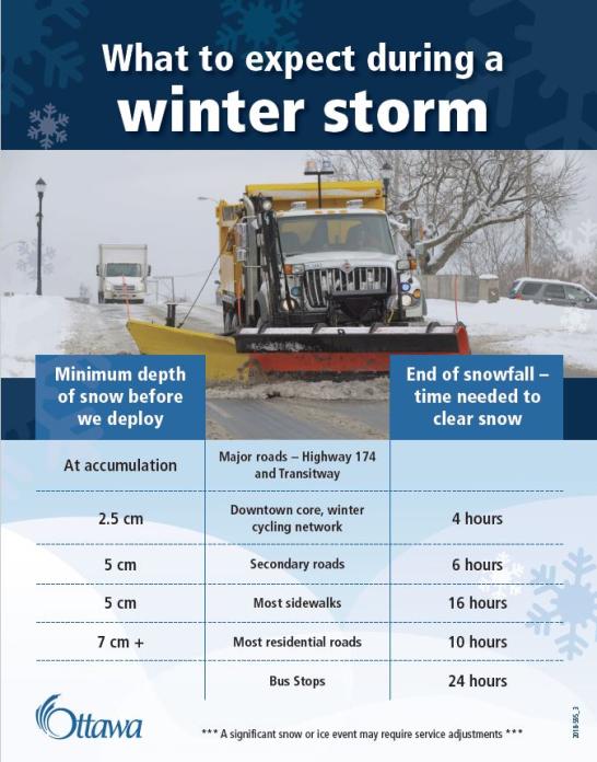 Winter storm poster.