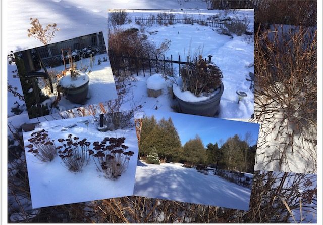 A collage of garden photos.