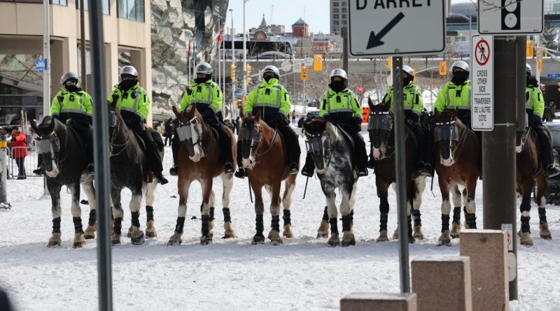A photo of police horses.