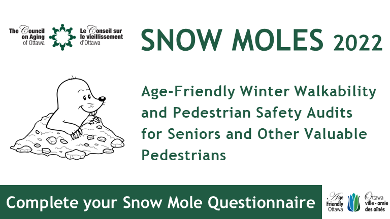 Snow Moles poster.