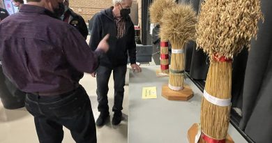 Judges look at wheat.