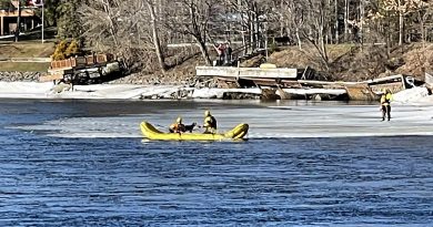Firefighters use a small boat to rescue a dog.