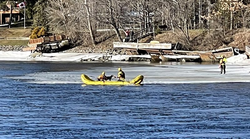Firefighters use a small boat to rescue a dog.