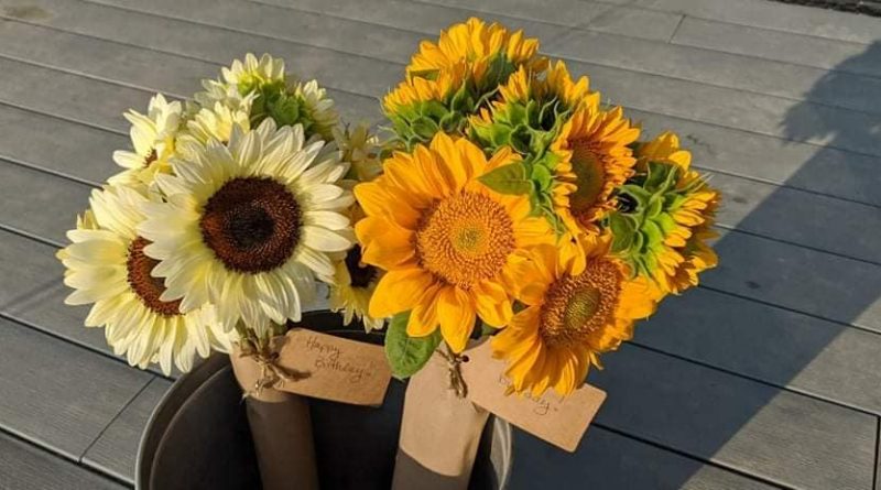 A photo of two bouquets of sunflowers.