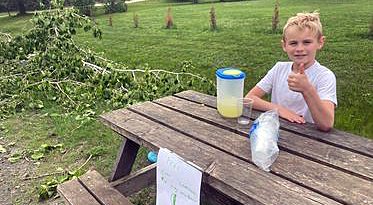 A photo of a boy serving lemonade.
