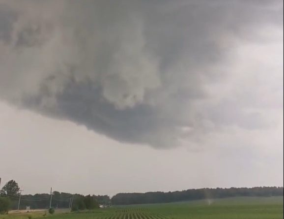 Image showing vortex in field under rapidly rotating wall cloud aloft associated with the parent supercell. The vortex actually circled counter-clockwise before heading off to the NE, reaching the treeline at the far end of the field - though it did appear to weaken as it did. Courtesy Quebec Vortex