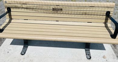 A photo of the bench.