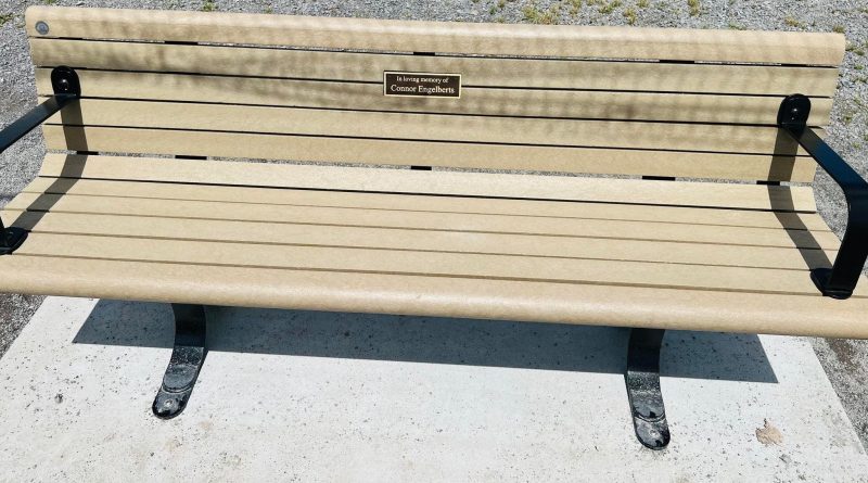 A photo of the bench.